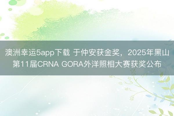 澳洲幸運5app下載 于仲安獲金獎，2025年黑山第11屆CRNA GORA外洋照相大賽獲獎公布